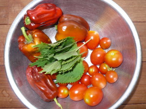 今日の収穫、パプリカ・トマト・大葉