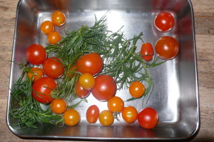 今日の収穫・トマト・オカヒジキ